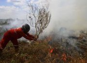 415 Hotspot Terdeteksi di 7 Daerah Kaltim