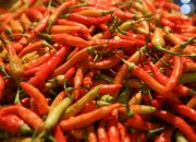 Balikpapan Diguncang Inflasi 0,44%, Cabai Rawit Jadi Dalang!