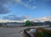 Taman Bebaya Lagi Kena ‘Serangan’ Ulat Bulu, DLH Samarinda Lagi Ngadepin Masalah
