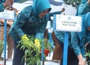 TP PKK Kota Samarinda Serbu Tanam Cabai, Makin Asyik Berkebun