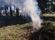 Musim Kemarau, DLH Balikpapan Warning Bahaya Bakar Sampah