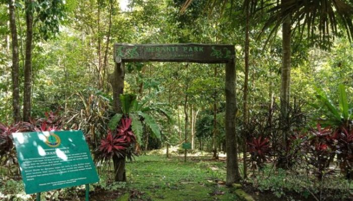 Eksplore Alam Seru di Balikpapan Botani Gardens