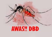 Waspada DBD! Balikpapan Jadi Kota dengan Kasus Tertinggi