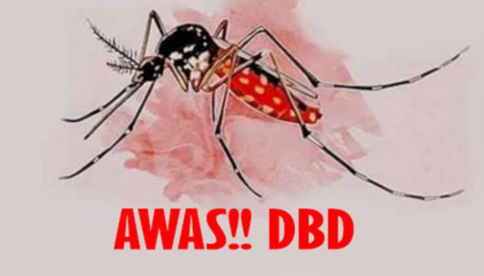 Waspada DBD! Balikpapan Jadi Kota dengan Kasus Tertinggi