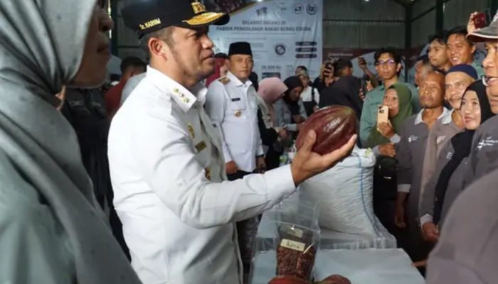 Gubernur Kaltim Puji Kelezatan Cokelat Asli Berau