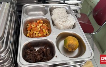 Disdikbud Balikpapan Akui Program Makan Bergizi Gratis Belum Maksimal, Baru Jangkau 30 Ribu Siswa Disdikbud Balikpapan Akui Program Makan Bergizi Gratis Belum Maksimal, Baru Jangkau 30 Ribu Siswa