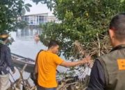 Aksi Nekat di Bontang: Pria 30 Tahun Cebur ke Laut Dekat Hotel Sintuk