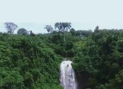 Pemkab Kubar Resmikan Program Perhutanan Sosial Berbasis HHBK