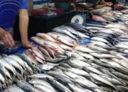 Industri Pengalengan Ikan Bontang Jadi Harapan Baru Nelayan