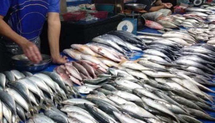 Industri Pengalengan Ikan Bontang Jadi Harapan Baru Nelayan