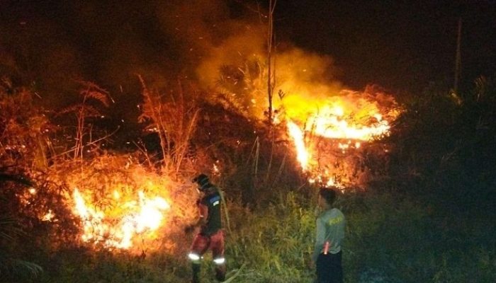 Api Lahap Lahan Warga di KM 19 Semanting, Beruntung Nggak Ada Korban