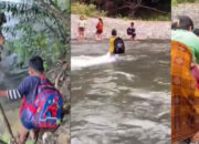 Krisis Guru di SD Mapulu Berau, Murid Belajar di Kampung Tetangga Krisis Guru di SD Mapulu Berau, Murid Belajar di Kampung Tetangga