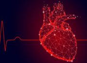 Cara Mudah Menjaga Kesehatan Jantung dan Cegah Penyakit