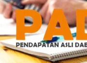 Pendapatan Daerah Kubar 2025 Capai Rp3,64 Triliun, Realisasi 51,88 Persen