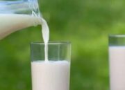 Asam Urat Bisa Dikendalikan dengan Jenis Susu Tertentu