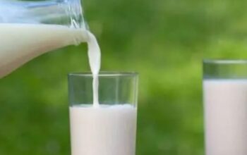 Asam Urat Bisa Dikendalikan dengan Jenis Susu Tertentu