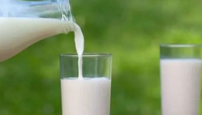 Asam Urat Bisa Dikendalikan dengan Jenis Susu Tertentu