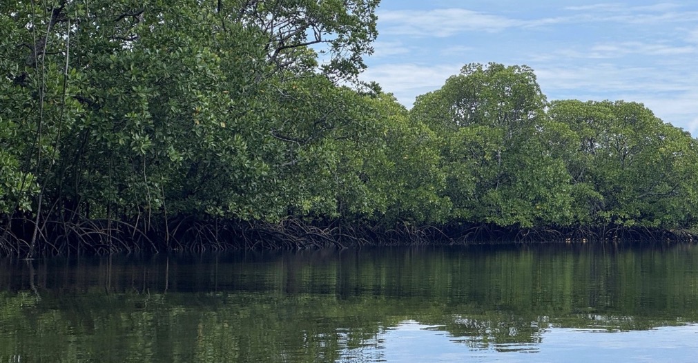 YLBKD (Yayasan Laut Biru Kepualauan Derawan) Dorong Masyarakat Derawan Jaga Laut YLBKD (Yayasan Laut Biru Kepualauan Derawan) Dorong Masyarakat Derawan Jaga Laut