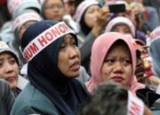 Nasib Guru Honorer Non-Database di Berau Terkatung: Pembayaran Gaji Terganggu