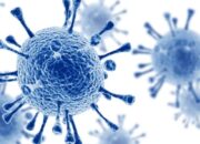 Dinkes Kubar Minta Warga Waspadai Potensi Kenaikan Kasus HIV/AIDS