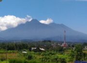 Balai TNGGP Resmi Tutup Gunung Gede untuk Pemulihan Ekosistem