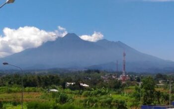 Balai TNGGP Resmi Tutup Gunung Gede untuk Pemulihan Ekosistem Balai TNGGP Resmi Tutup Gunung Gede untuk Pemulihan Ekosistem