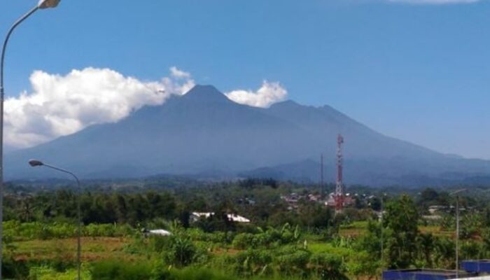 Balai TNGGP Resmi Tutup Gunung Gede untuk Pemulihan Ekosistem
