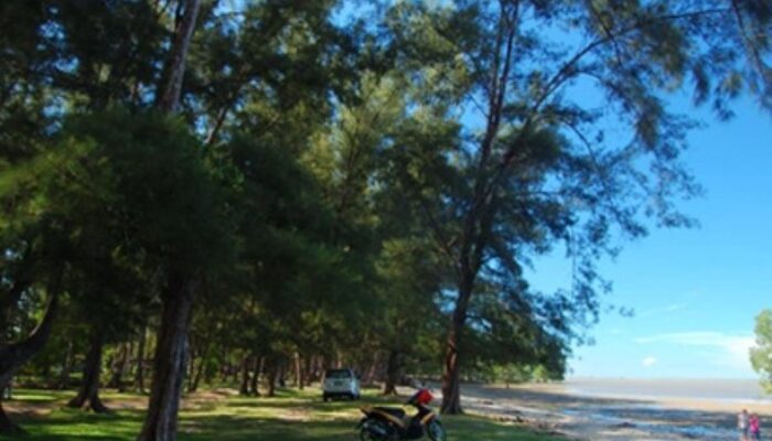 Eksplorasi Pantai Tanah Merah Tanjung Harapan Samboja Eksplorasi Pantai Tanah Merah Tanjung Harapan Samboja