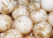 Ancaman Serius di Pulau Sangalaki, Telur Penyu di Berau Masih Diburu untuk Dijual