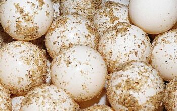 Ancaman Serius di Pulau Sangalaki, Telur Penyu di Berau Masih Diburu untuk Dijual