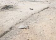 Rudy Mas’ud Evaluasi Peningkatan Infrastruktur Jalan Pesisir di Kaltim Rudy Mas’ud Evaluasi Peningkatan Infrastruktur Jalan Pesisir di Kaltim