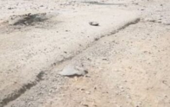 Rudy Mas’ud Evaluasi Peningkatan Infrastruktur Jalan Pesisir di Kaltim Rudy Mas’ud Evaluasi Peningkatan Infrastruktur Jalan Pesisir di Kaltim