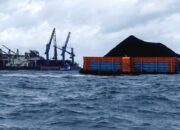 Tim SAR Lakukan Pencarian di Perairan Kukar Setelah Kapal Tenggelam Tim SAR Lakukan Pencarian di Perairan Kukar Setelah Kapal Tenggelam