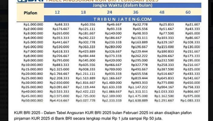 Simulasi Pinjaman KUR BRI 2025: Pilihan Plafon Rp 50 Juta dengan Bunga 6%