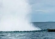 Pelaku Bom Ikan Kian Licin, Dinas Perikanan Berau Lakukan Patroli Tersembunyi