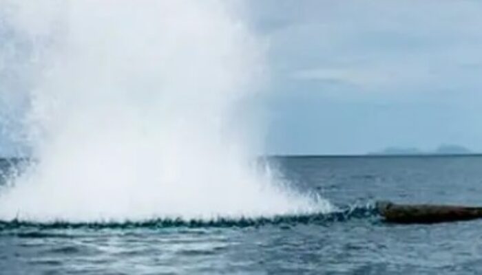 Pelaku Bom Ikan Kian Licin, Dinas Perikanan Berau Lakukan Patroli Tersembunyi