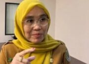 Program UKT Gratis Pemprov Kaltim Cair November 2025, Siap Salurkan Rp165 Miliar Program UKT Gratis Pemprov Kaltim Cair November 2025, Siap Salurkan Rp165 Miliar