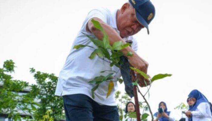 IKN Tanam 600 Pohon untuk Wujudkan Forest City