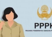 Status Tenaga Honorer Segera Tuntas, Pemerintah Targetkan PPPK Rampung Desember 2025 Status Tenaga Honorer Segera Tuntas, Pemerintah Targetkan PPPK Rampung Desember 2025