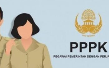 Status Tenaga Honorer Segera Tuntas, Pemerintah Targetkan PPPK Rampung Desember 2025 Status Tenaga Honorer Segera Tuntas, Pemerintah Targetkan PPPK Rampung Desember 2025