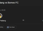 Prediksi Semen Padang vs Borneo FC: 1-2, Borneo FC Masih Terlalu OverPower Prediksi Semen Padang vs Borneo FC: 1-2, Borneo FC Masih Terlalu OverPower