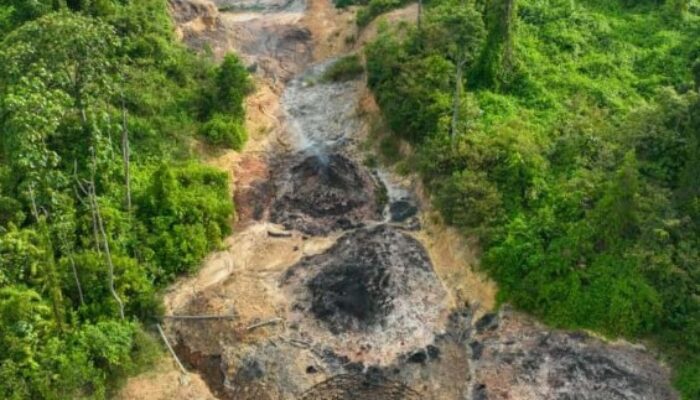 Jaringan Tambang Ilegal di Kawasan IKN Terbongkar, Negara Rugi Rp80 Miliar