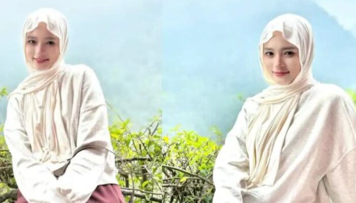 Kasus Video CCTV Inara Rusli: Penyebaran Tanpa Izin dan Dugaan Pelanggaran Privasi