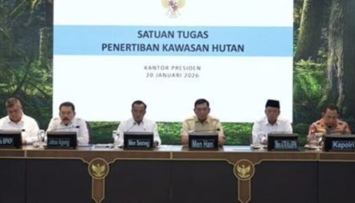 Presiden Cabut Izin 28 Perusahaan Penyebab Banjir Sumatra, Langkah Pemulihan Lingkungan