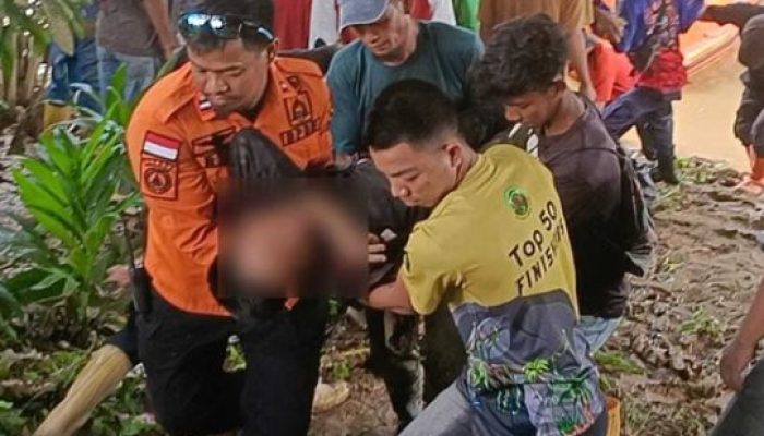 Kabar IKN: Lansia Tewas di Sungai, Diduga Jadi Korban Serangan Buaya