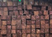 Kasus Kayu Ilegal Terbongkar di Balikpapan, Libatkan Jaringan Antarwilayah