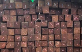 Kasus Kayu Ilegal Terbongkar di Balikpapan, Libatkan Jaringan Antarwilayah