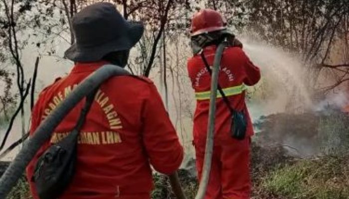 Hadapi Kemarau Panjang, Pemprov Kaltim Siaga Karhutla