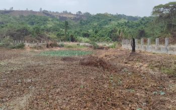PT SGP Tegaskan Buaya di Lembaga Konservasi Sudah Direlokasi BKSDA Kaltim