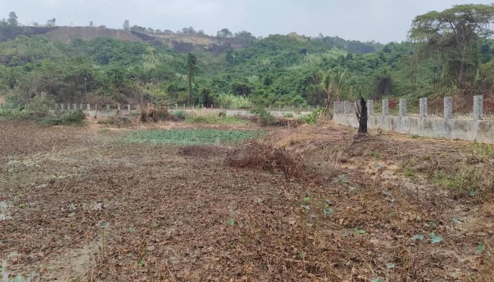PT SGP Tegaskan Buaya di Lembaga Konservasi Sudah Direlokasi BKSDA Kaltim